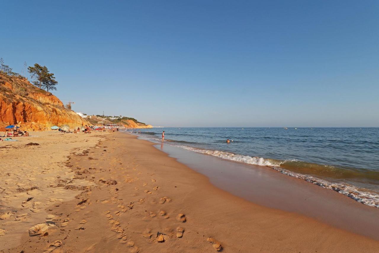Albufeira Typical With Pool By Homing 아파트 외부 사진